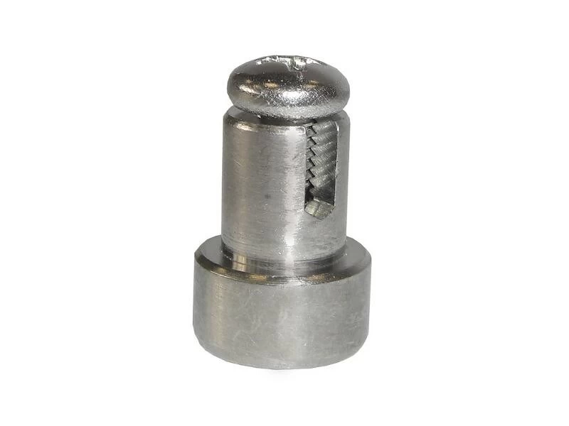 BOSCH Speed sensor magnet (screwed) 1
