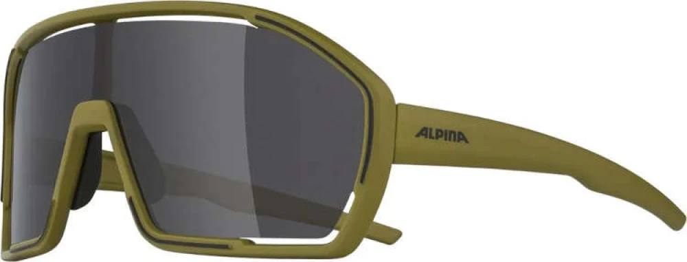 Alpina sunglasses Bonfire 1