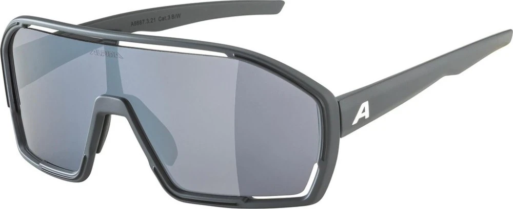 sports glasses Alpina Bonfire 1