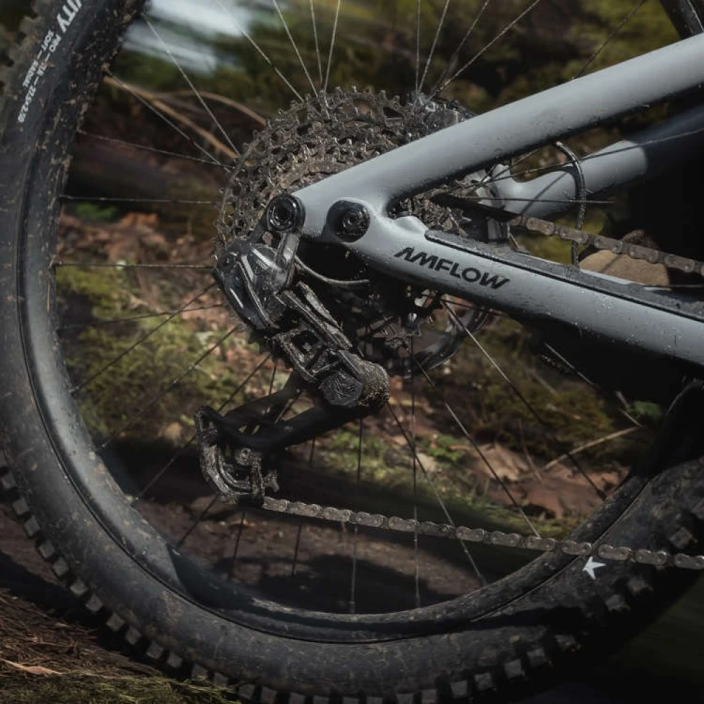 Amflow PR Carbon 4