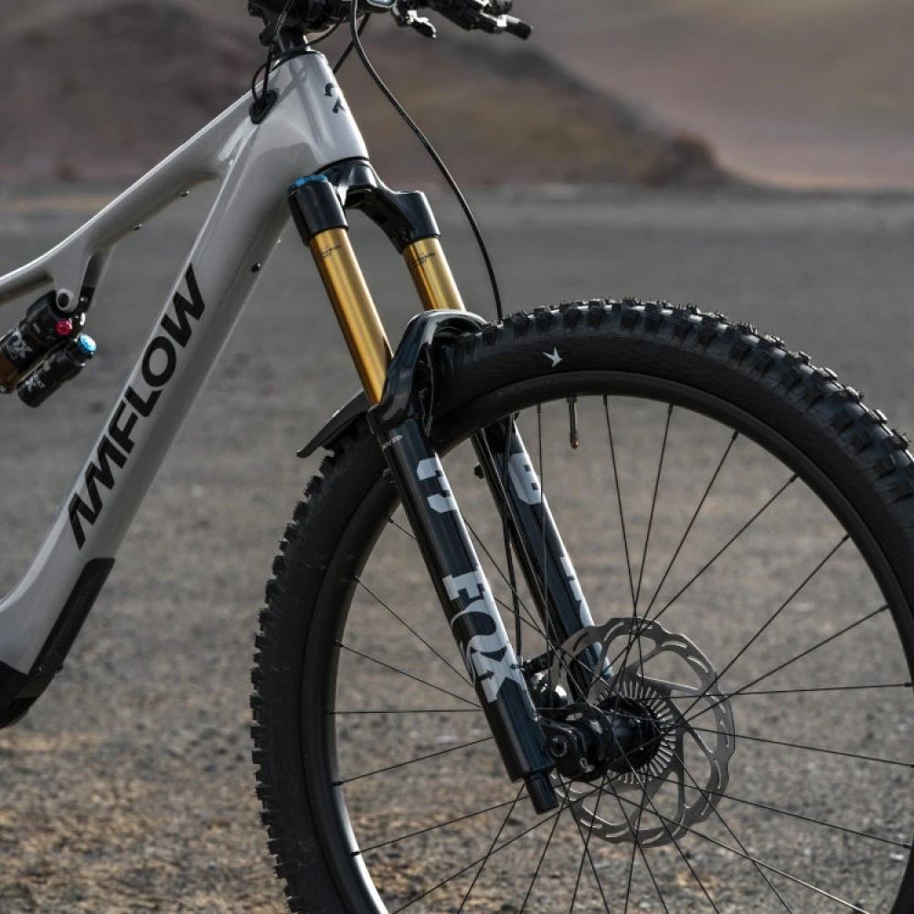 Amflow PX Carbon Pro 11