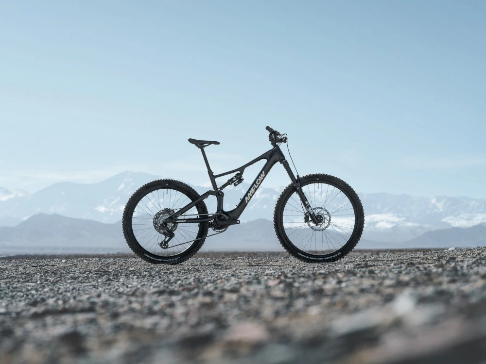 Amflow PX Carbon 10