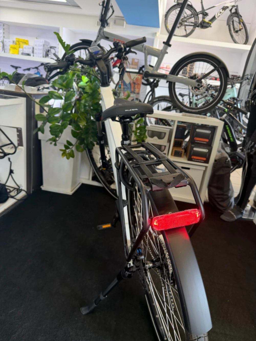 Μ/Charger3 Mixte touring 3
