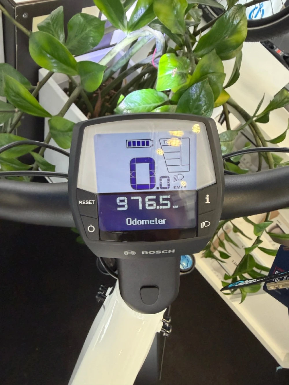Μ/Charger3 Mixte touring 4