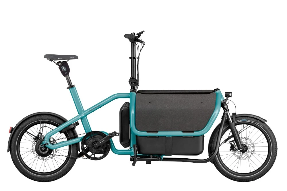 CARRIE VARIO T,intuvia 100 / 545Wh 1