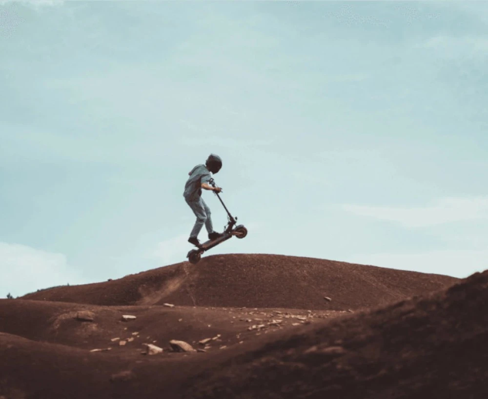 MiniWalker-Tiger 10 Pro + 14