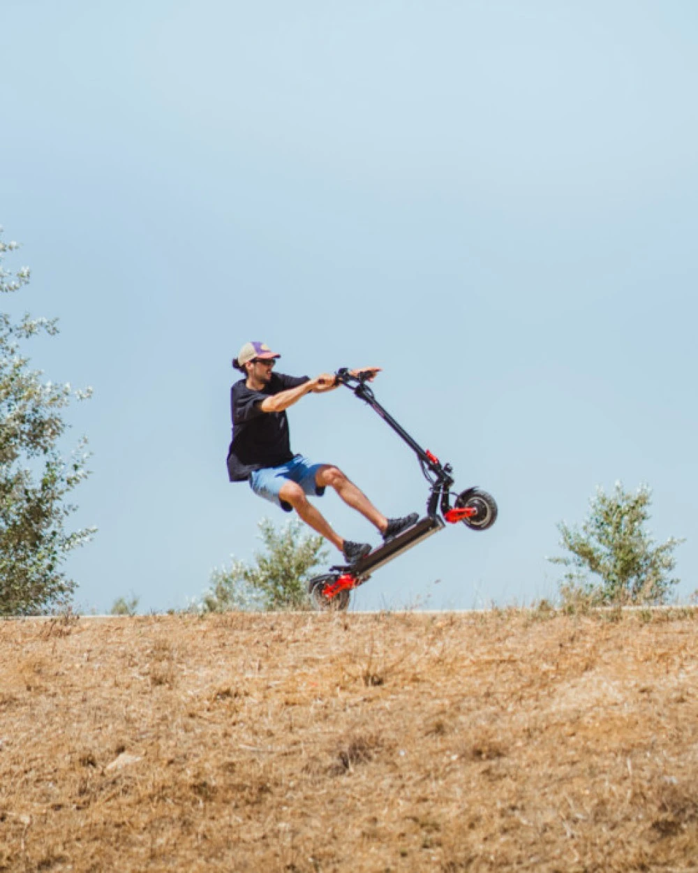 MiniWalker-Tiger 10 Pro + 12