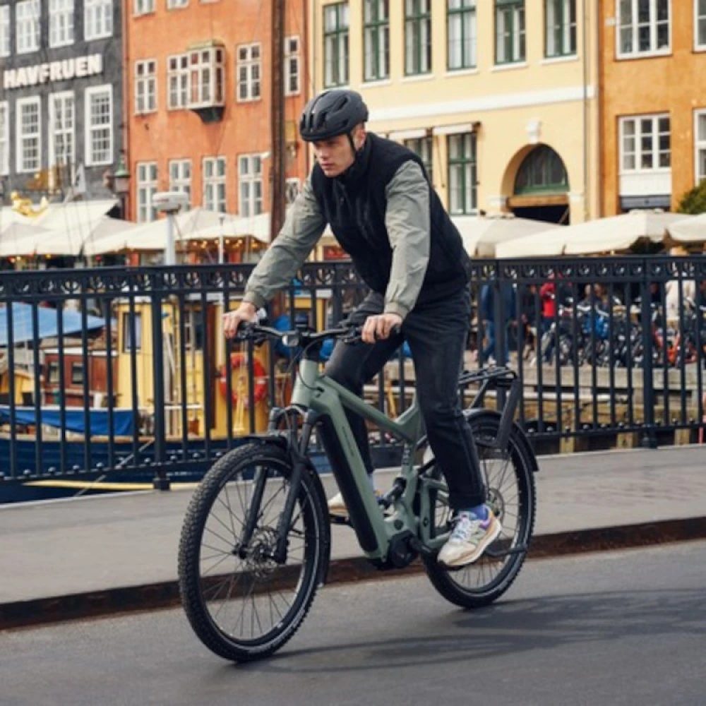 RIESE & MULLER eSUV DELITE4GT TOURING,11-SPEED,750Wh 6